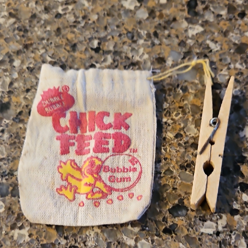 Chick Feed Drawstring Pouch